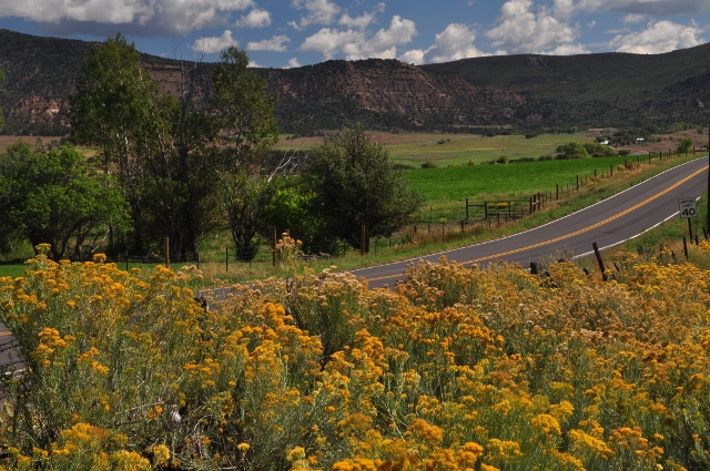 Highway 121, 59 Road up to Grand Mesa